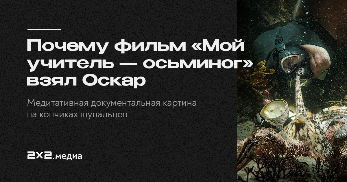 Мой учитель осьминог отзывы. Мой учитель-осьминог фильм. Мой учитель. Фильм про желтого осьминога учителя. Мой учитель-осьминог Netflix.