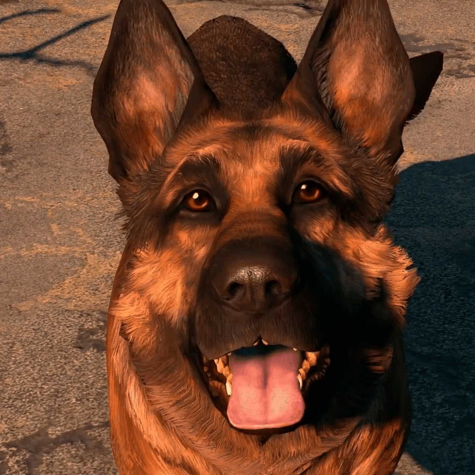 Умерла собака Ривер — прототип Псины в Fallout 4