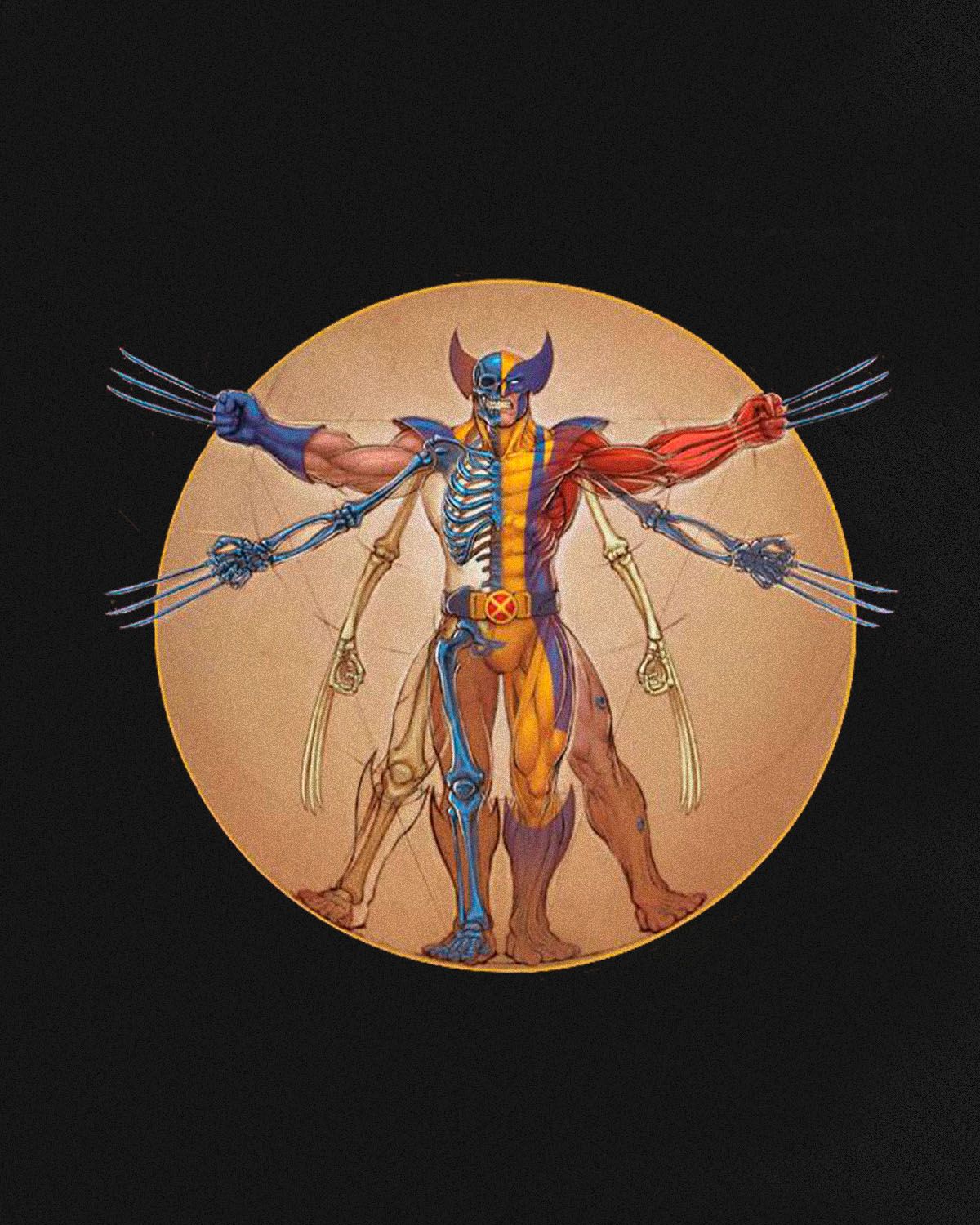 Хотите узнать больше об анатомии супергероев Marvel? Эта книга вам поможет