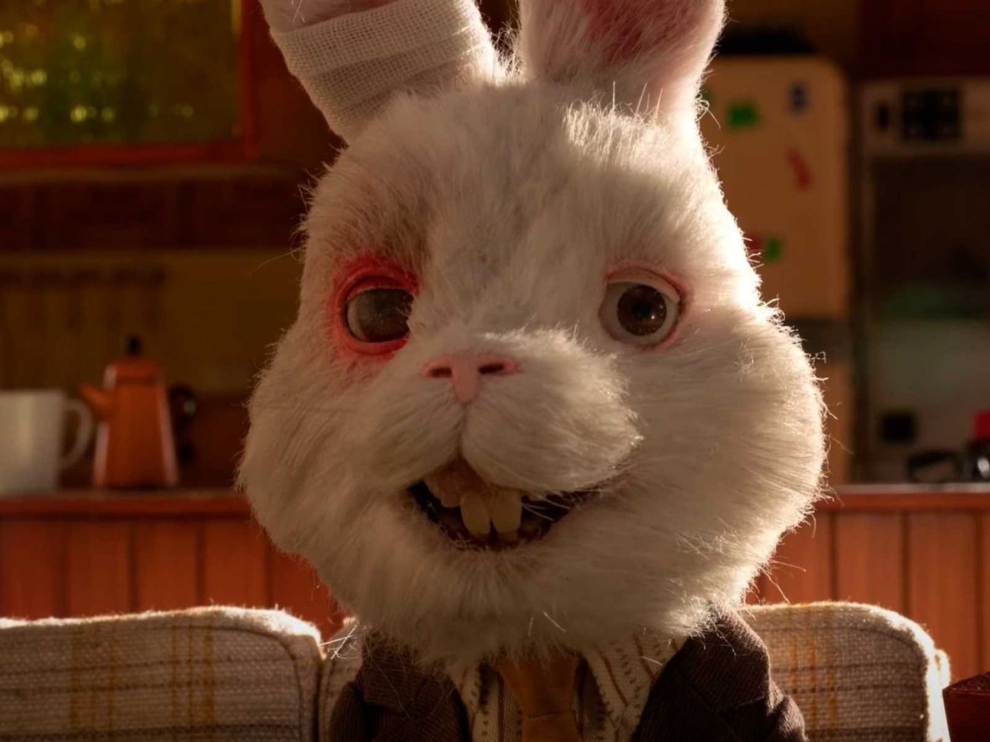 Кто озвучивает кроликов. Кролик Ральф. Кролик Ральф в реальной жизни. Кролик Ральф фото.