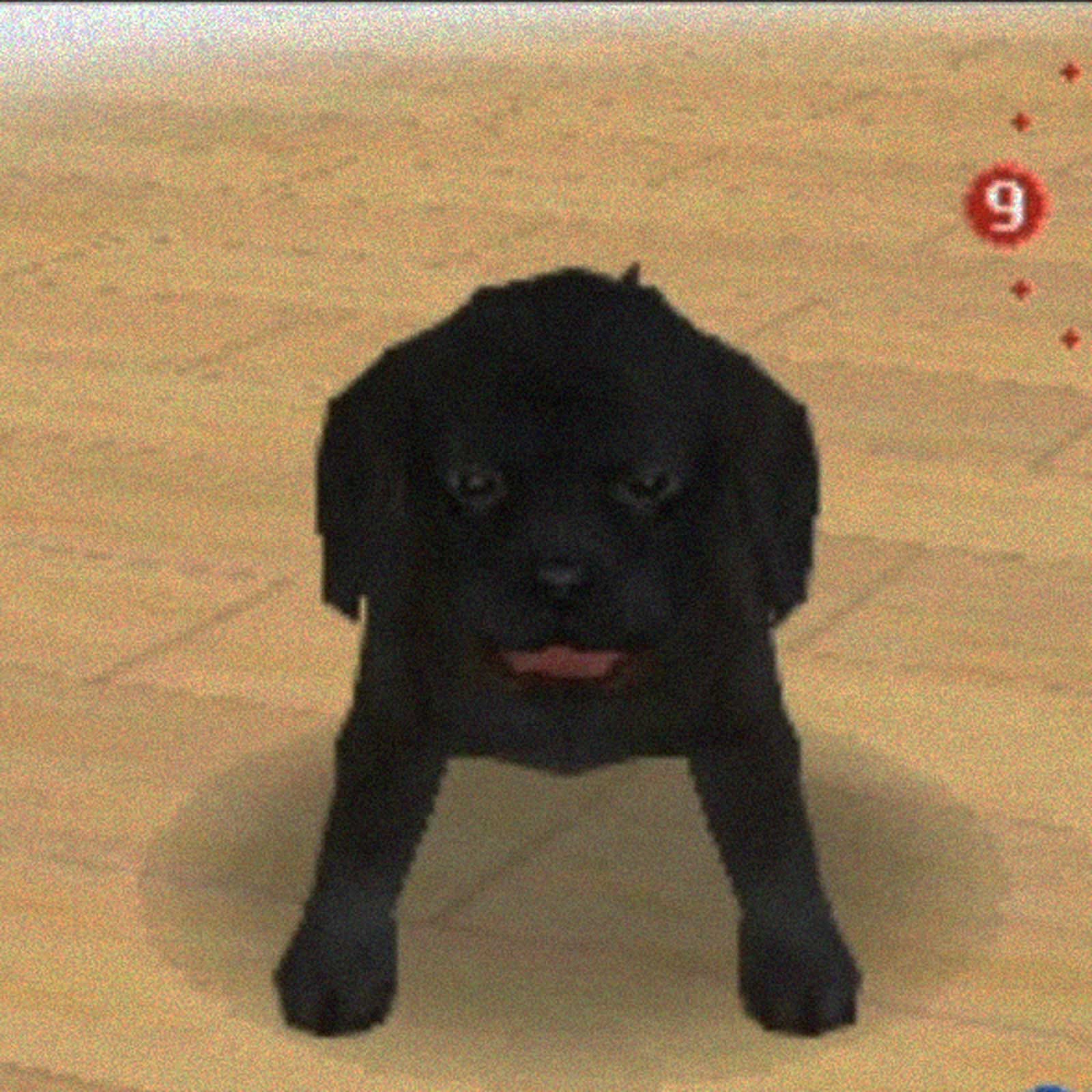 Виртуальный щенок лабрадора сорвал спидран по Nintendogs