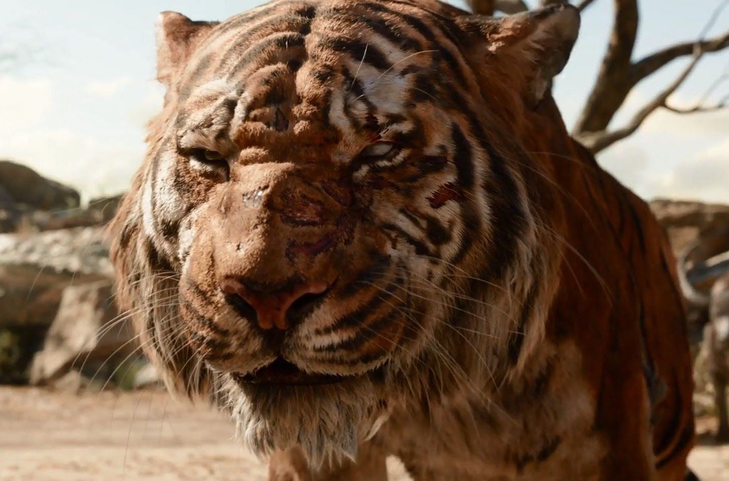 Создатели оригинального шоу «Форт Боярд» заменят живых тигров 3D-моделями