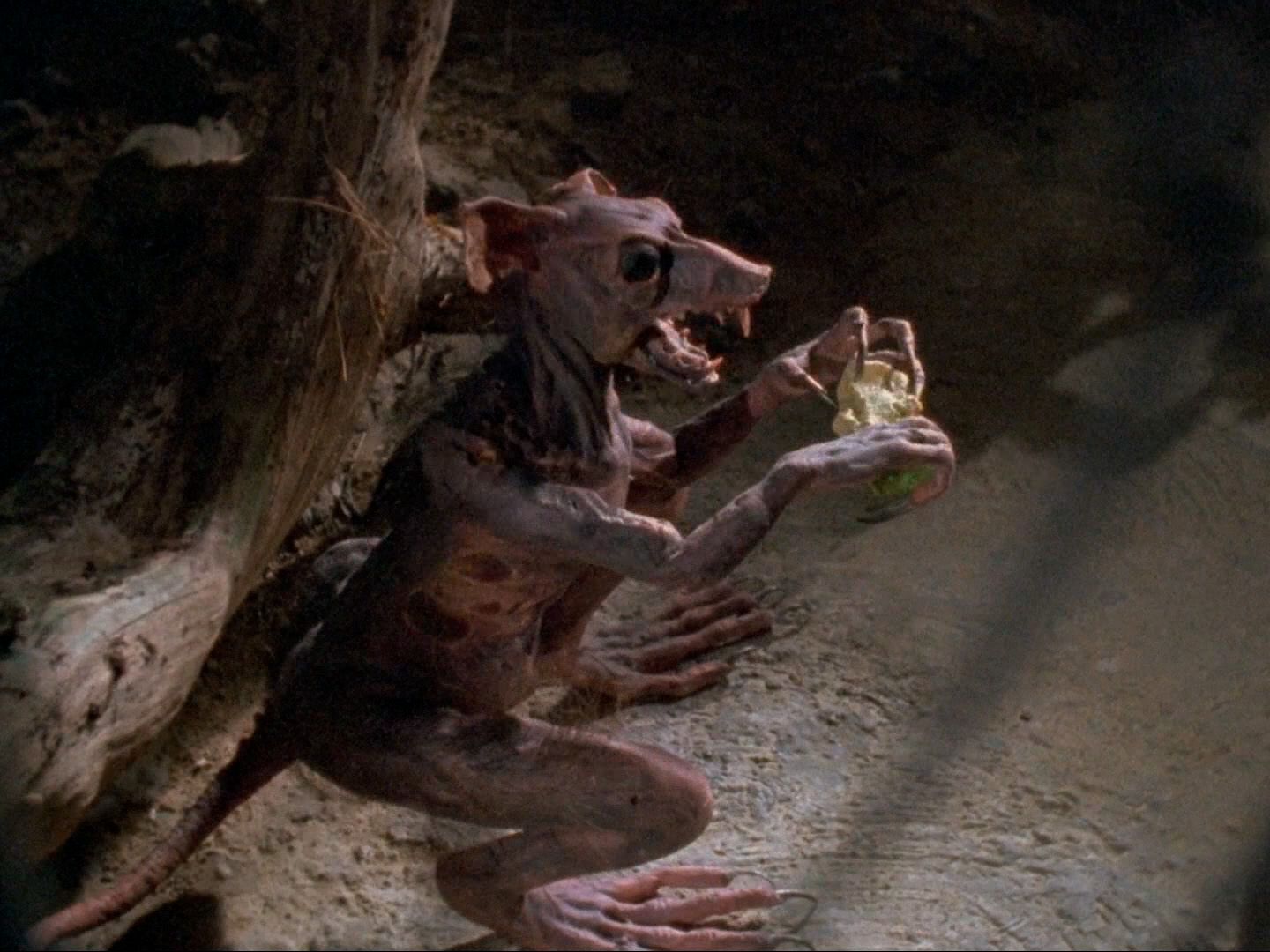 «Живая мертвечина» и «Инопланетное рагу». Чем Питер Джексон занимался до «Властелина колец»