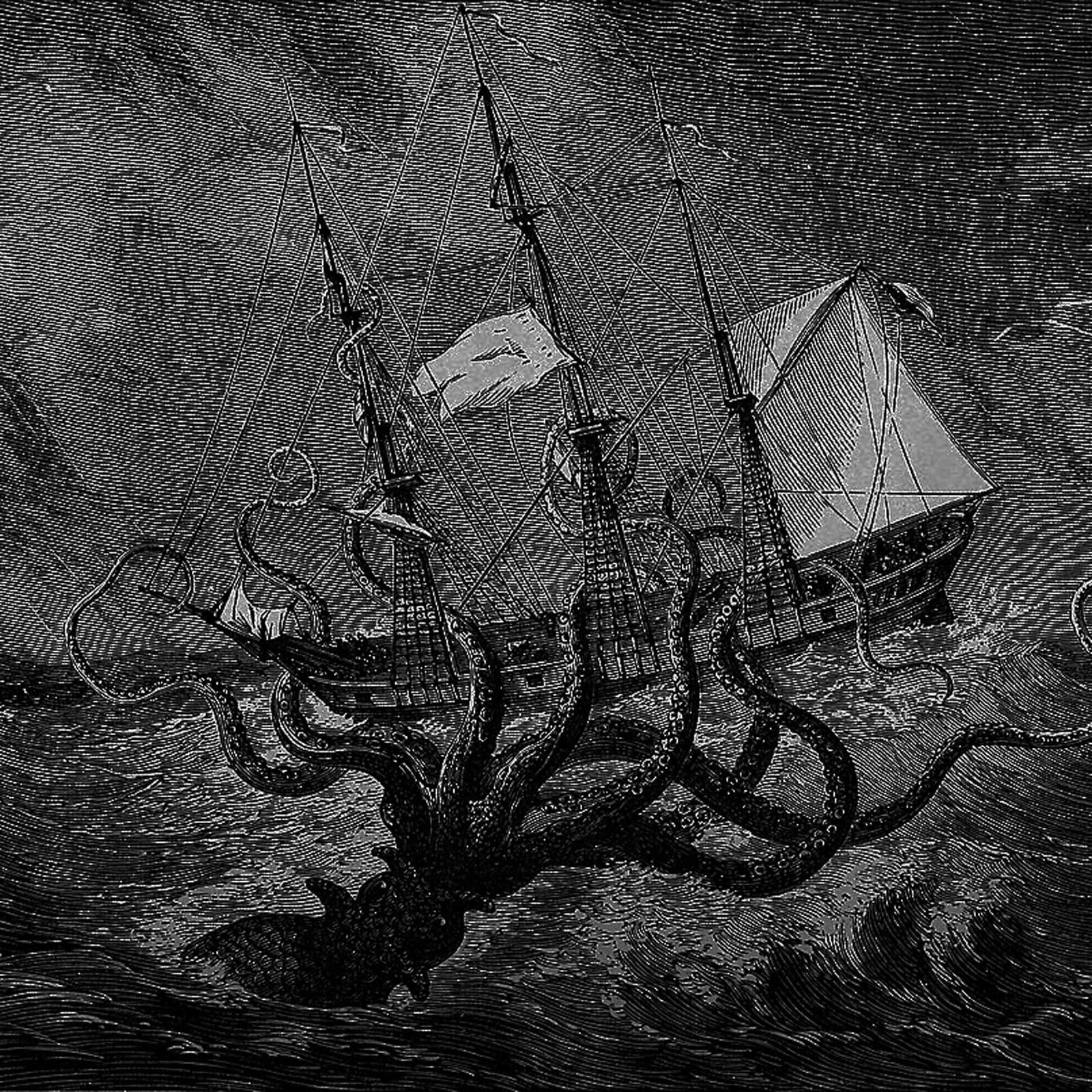 Легенды о морских чудовищах можно объяснить пенисами китов Легенды о морских чудовищах можно объяснить пенисами китов